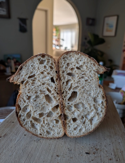 Rustic Einkorn