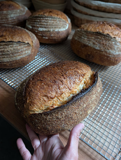 Rustic Einkorn